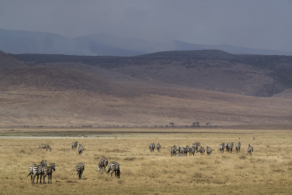 Naturreise Tansania, Aktivferien, Oktober 2016 © Valérie Chételat