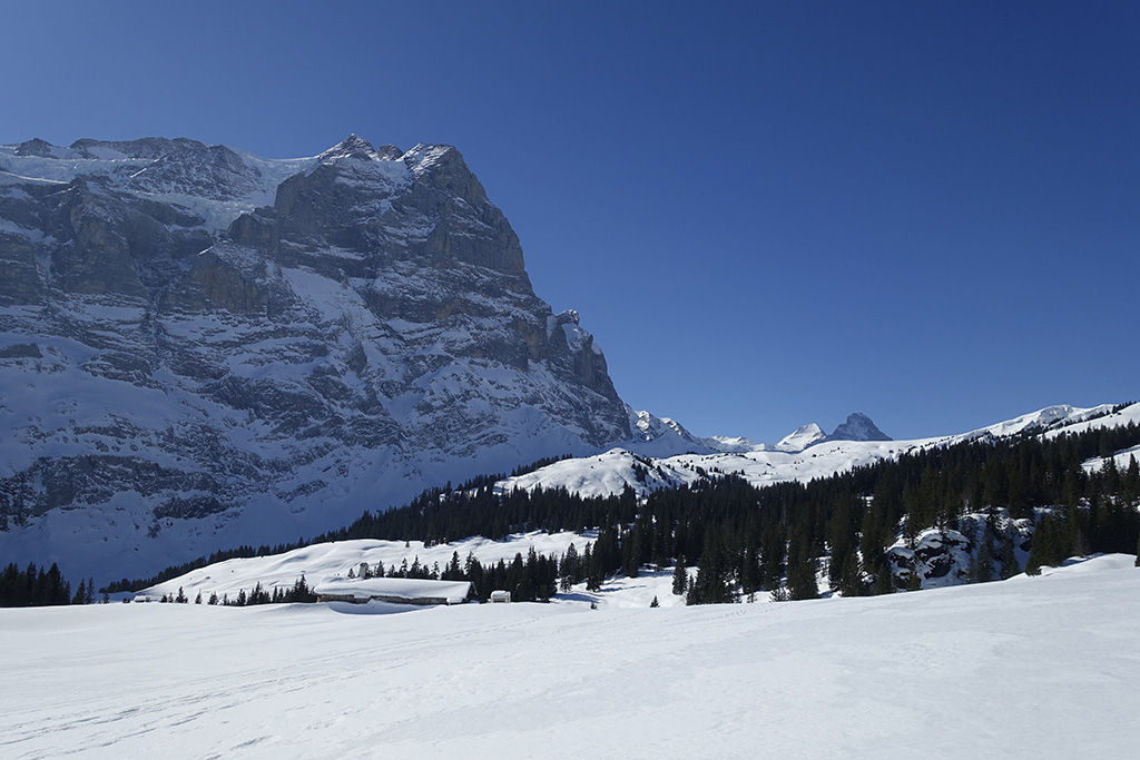 Schneeschuhwanderung Grosse Scheidegg, 19.-20. Maerz 2016, Mammut Alpine School / Bergschule Uri © Valerie Chetelat