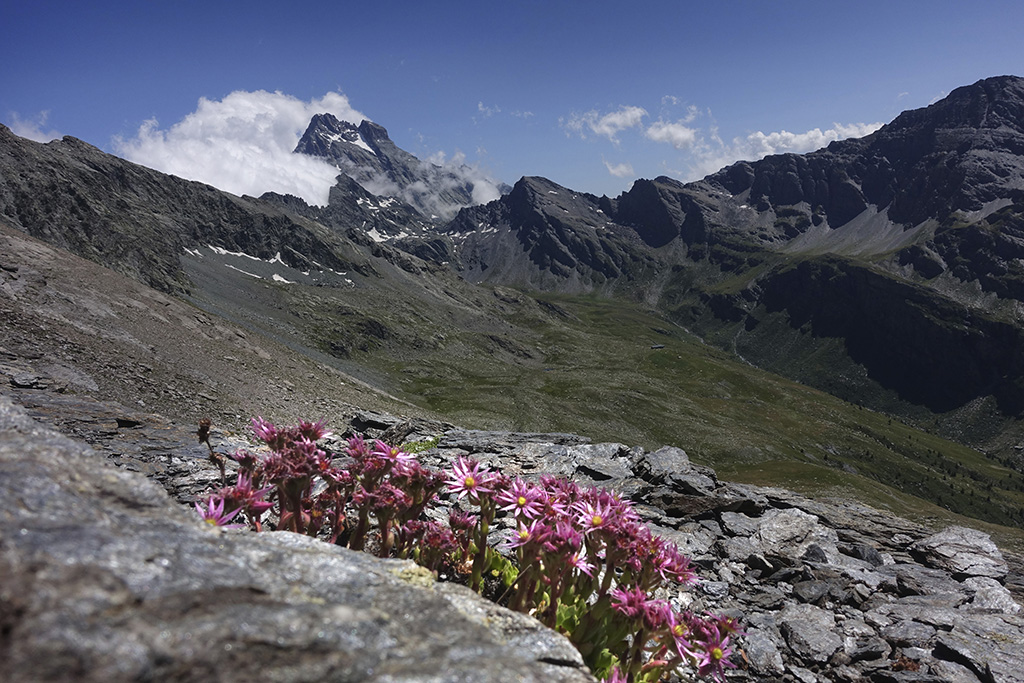 Grande Traversata delle Alpi, Reko 31. Juli - 9. August 2019 © Valérie Chételat