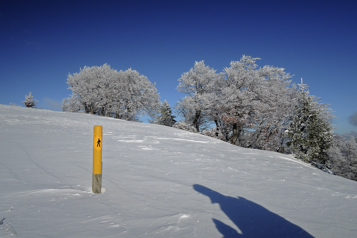 Schneeschuhtour Mont Sujet © Valerie Chetelat