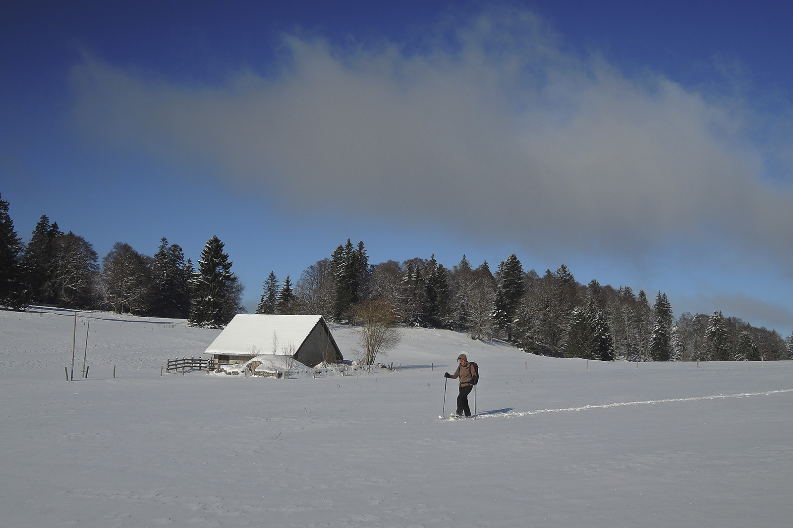 Schneeschuhtour Mont Sujet © Valerie Chetelat